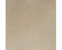 Premium Torrero Fabric