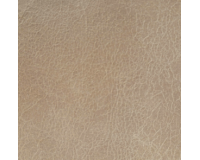 Premium Torrero Fabric