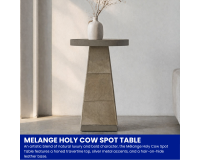 Melange Holy Cow Spot Table
