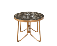 Papilio Clytia Coffee Table