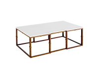  Stevens Coffee Table (G)